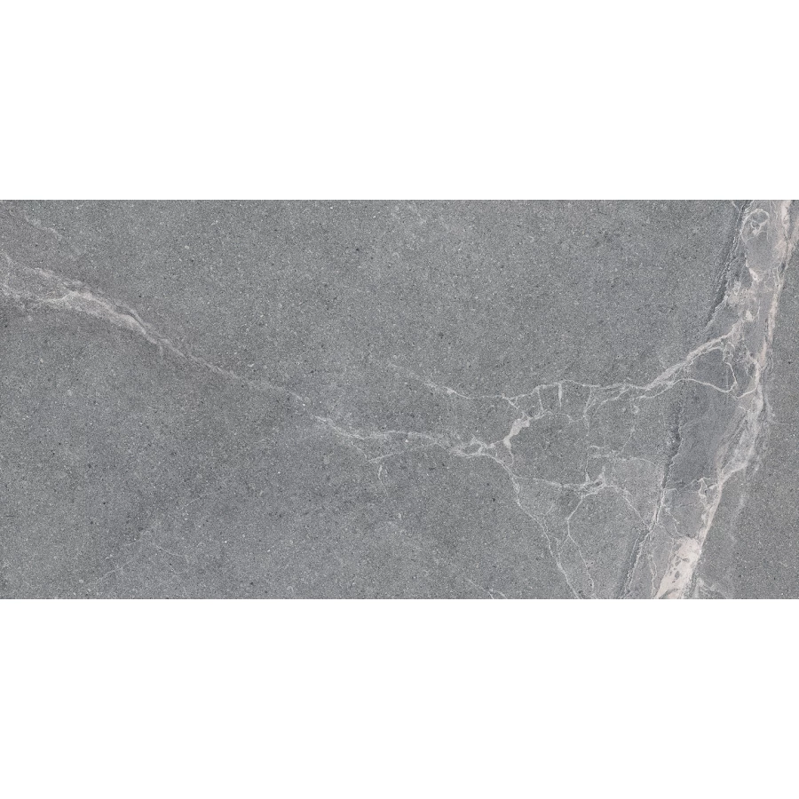 Керамогранит Lasselsberger Ceramics Диккенс серый 6260-0225 60х30 см