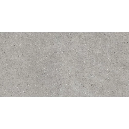 Керамогранит Duna Ceppo Gris Carving серый CP0L64M01 120х60 см