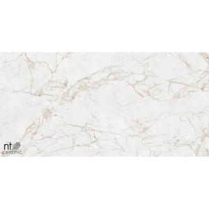 Керамогранит NT Ceramic Marmo Impero Grey Carving Карвинг NTT99519M 120х60 см