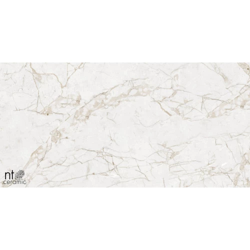 Керамогранит NT Ceramic Marmo Impero Grey Carving Карвинг NTT99519M 120х60 см