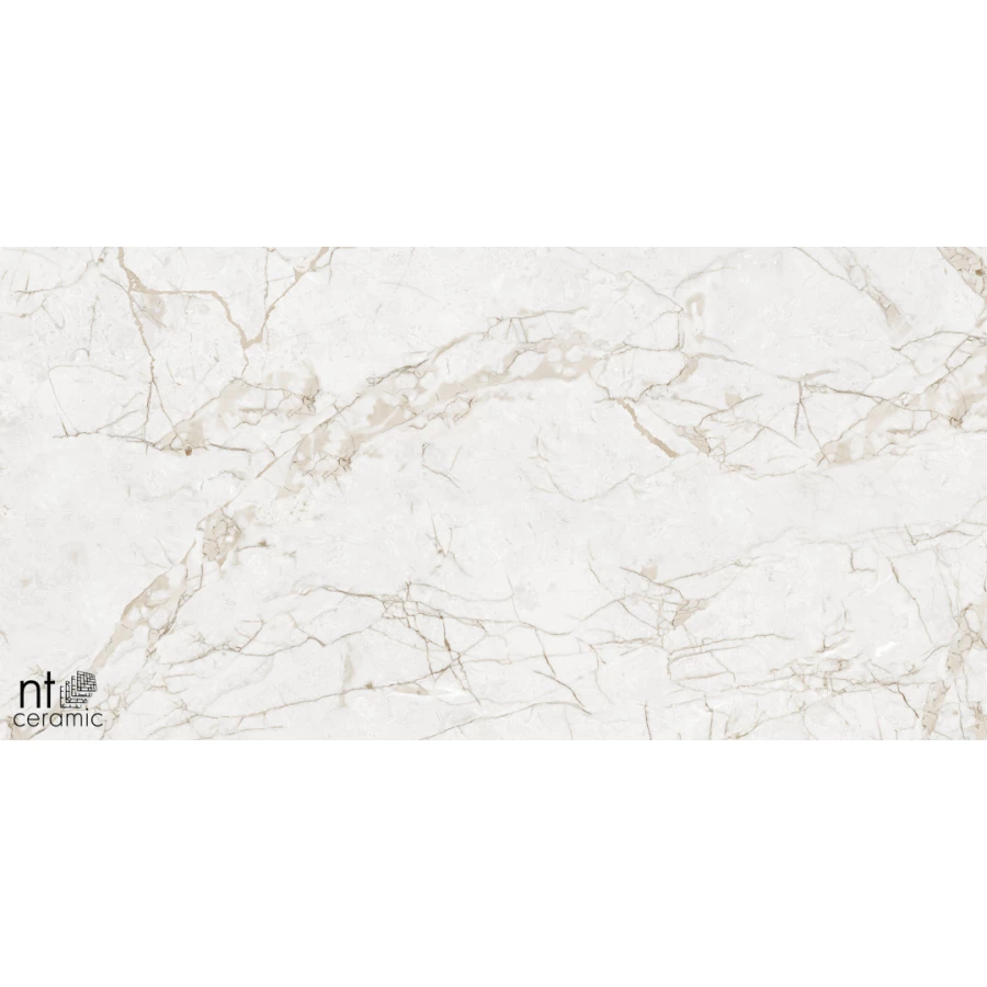 Керамогранит NT Ceramic Marmo Impero Grey Carving Карвинг NTT99519M 120х60 см