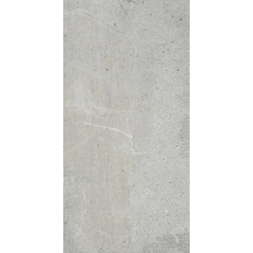 Керамогранит ProGRES Simfony матовый серый PRO 0243M 120х60 см