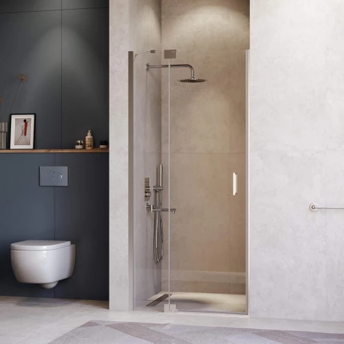 Душевая дверь RGW HO-014 Прозрачное 1000 350601410-11 100х200 см